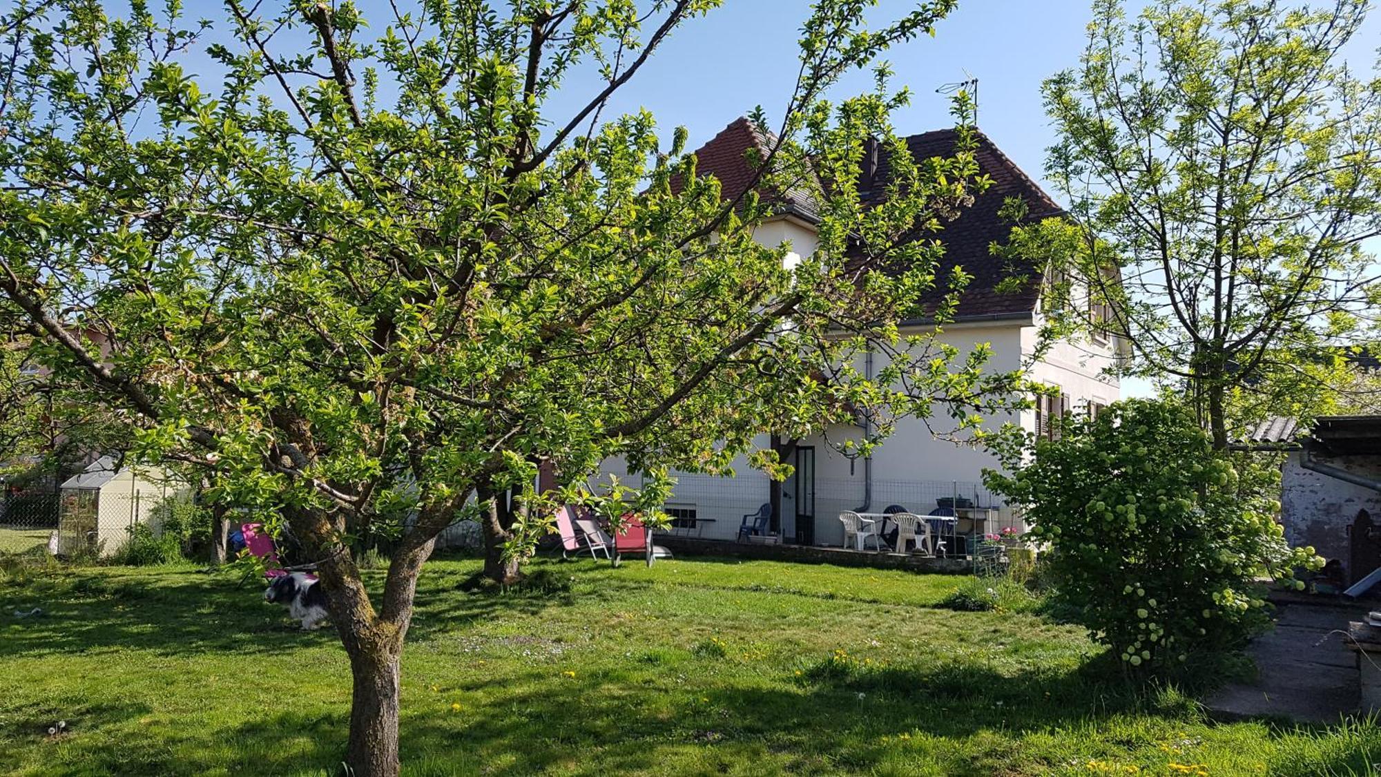 Maison Les 3 Roses Wolfisheim Kültér fotó