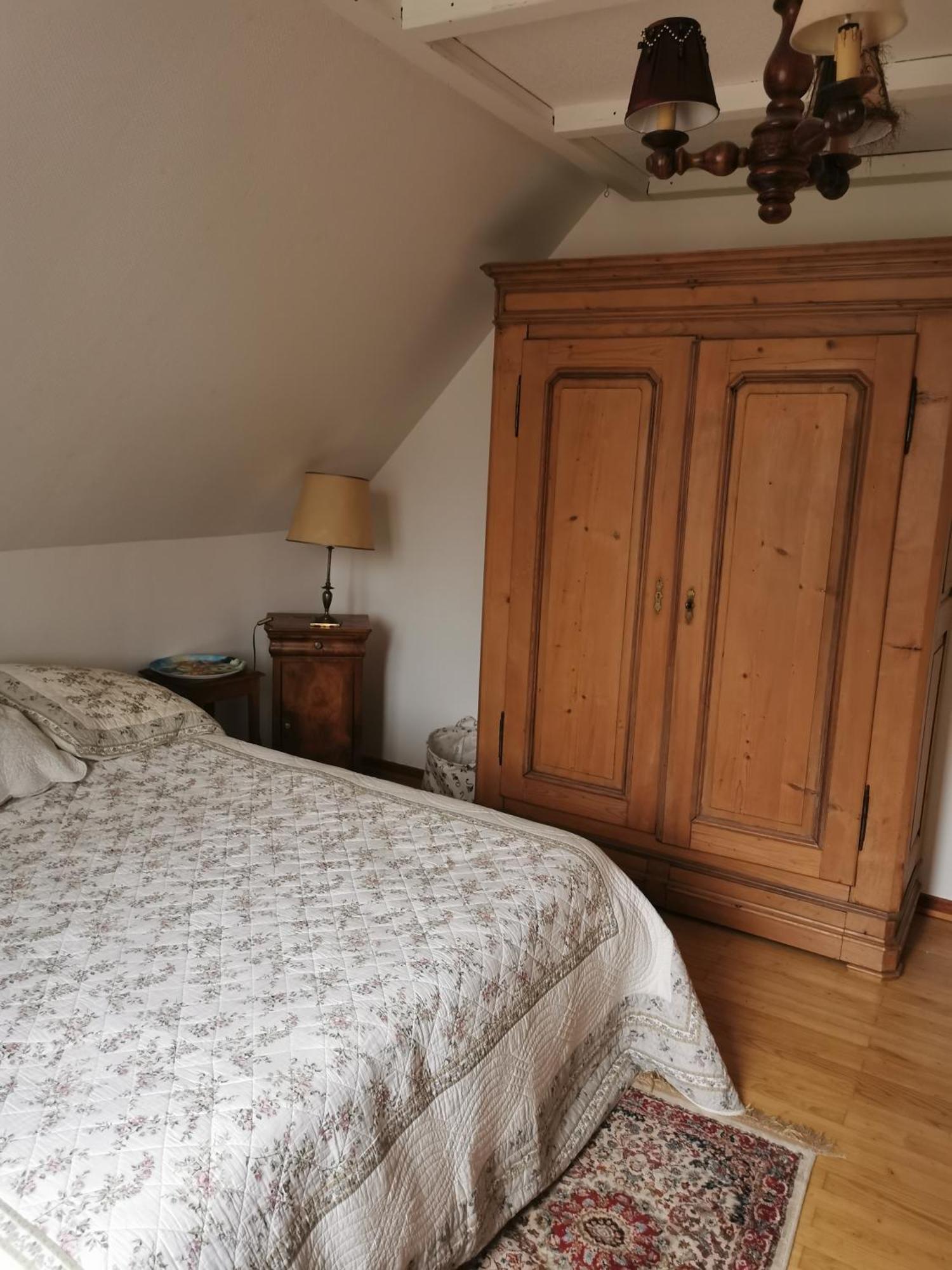 Maison Les 3 Roses Wolfisheim Kültér fotó