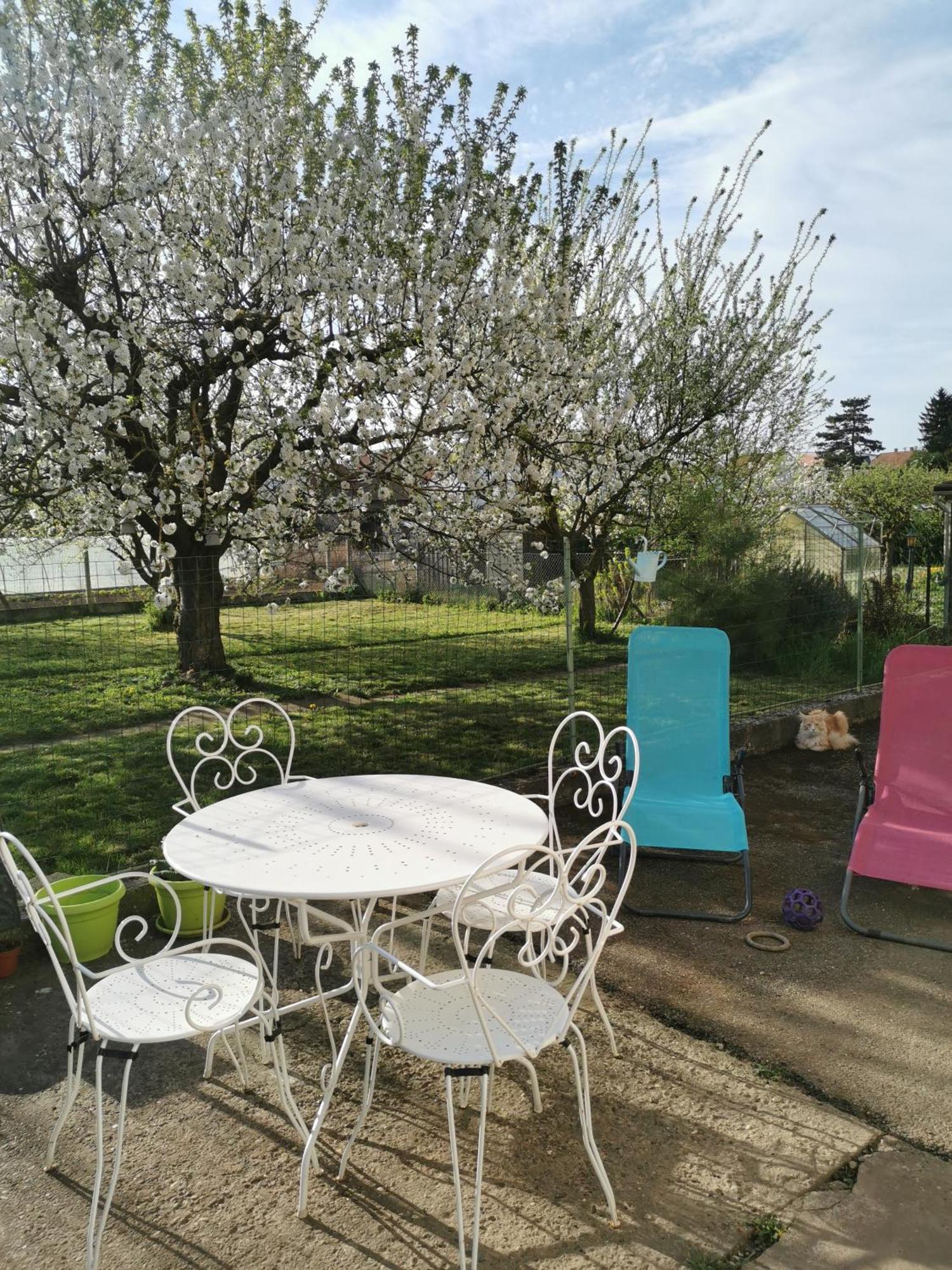 Maison Les 3 Roses Wolfisheim Kültér fotó